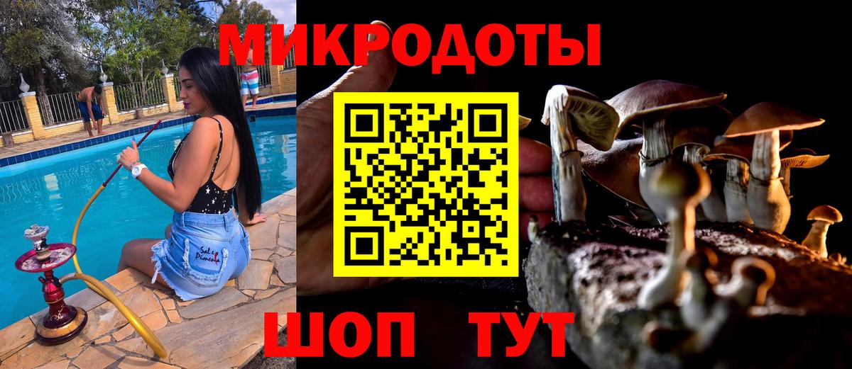 продажа наркотиков  Галлюциногенные грибы MAGIC MUSHROOMS  Вход с VPN  Псилоцибиновые грибы прущие грибы  Ульяновск 